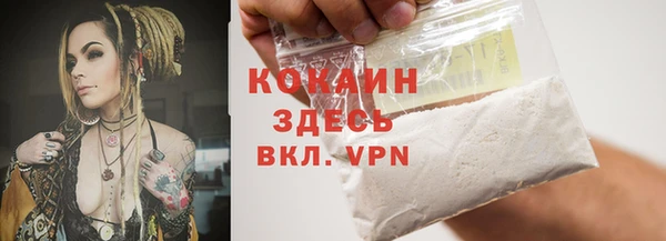 Альфа ПВП Каменка