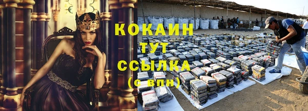 Альфа ПВП Каменка