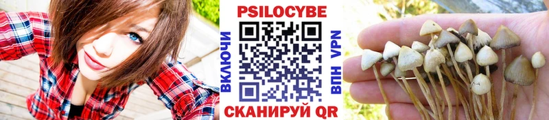 Купить  Дятьково  Галлюциногенные грибы прущие грибы 